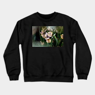 Peacock Butterfly Siberian Iris Crewneck Sweatshirt